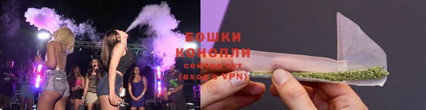 мдпв Волосово