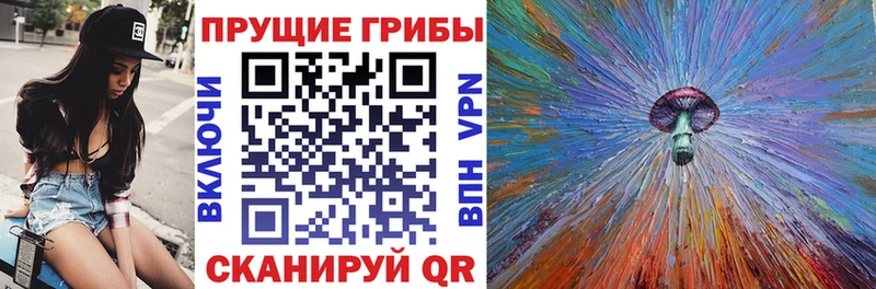 Псилоцибиновые грибы Magic Shrooms  закладка  Канаш 