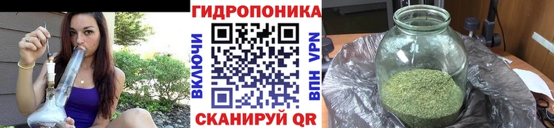 гидра ссылки  Канаш  Бошки марихуана Ganja 